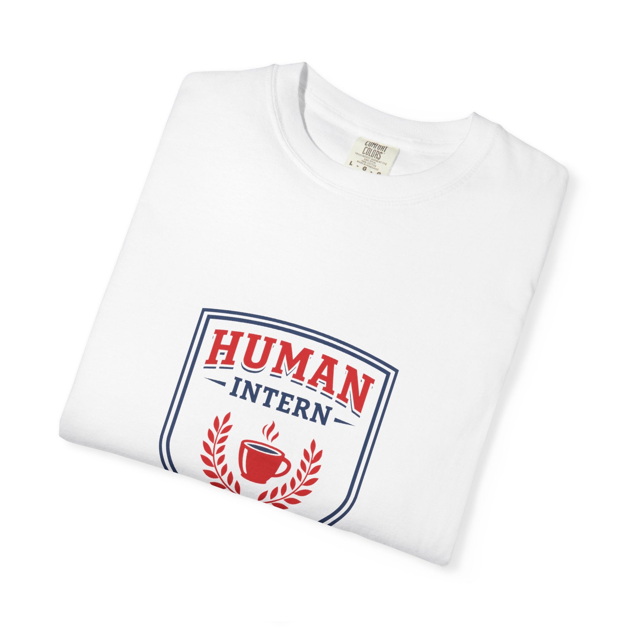 Human Intern